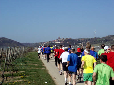 Marathon Deutsche Weinstrae 2010