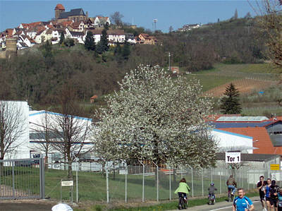 Marathon Deutsche Weinstraße 2010