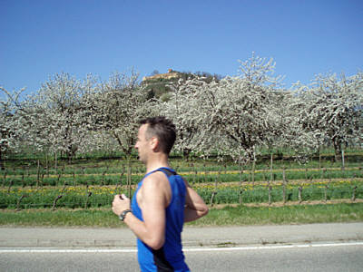 Marathon Deutsche Weinstrae 2010