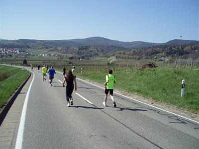 Marathon Deutsche Weinstraße 2010