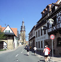 Marathon Deutsche Weinstrae 2010