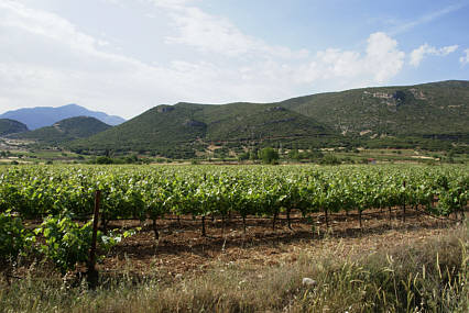 Nemea Olympia 2010