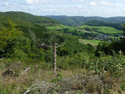 P-Weg Ultramarathon 2010
