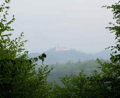 Rennsteiglauf 2010