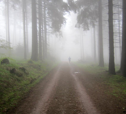 Rennsteiglauf 2010