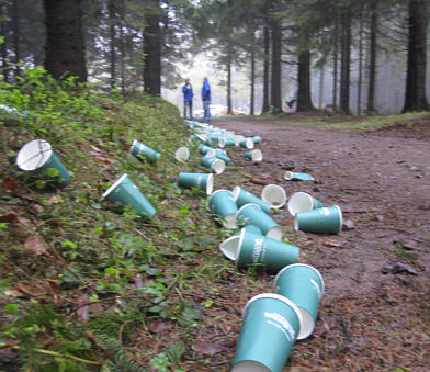 Rennsteiglauf 2010