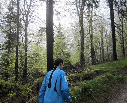 Rennsteiglauf 2010