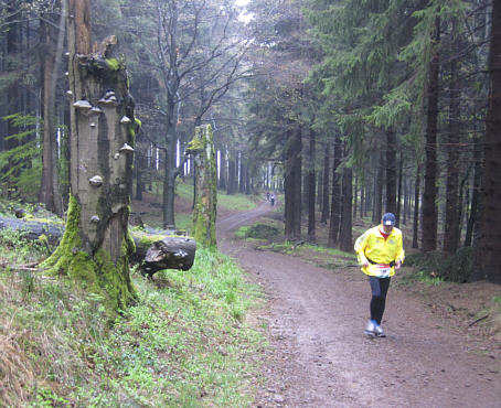 Rennsteiglauf 2010