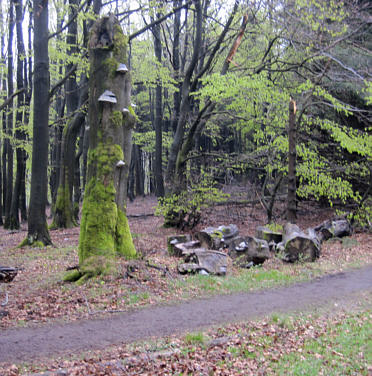 Rennsteiglauf 2010