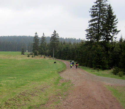 Rennsteiglauf 2010