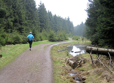 Rennsteiglauf 2010