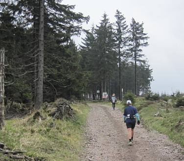 Rennsteiglauf 2010