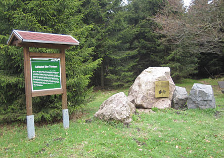 Rennsteiglauf 2010