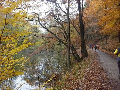 Rntgenlauf 2010