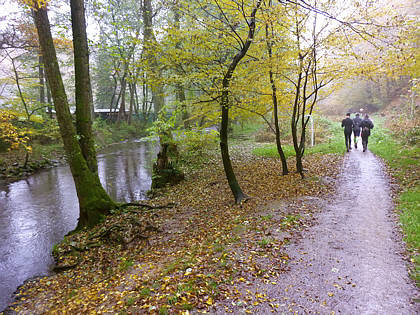 Rntgenlauf 2010