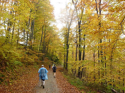 Rntgenlauf 2010