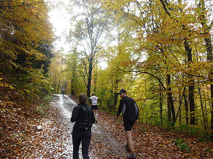 Rntgenlauf 2010