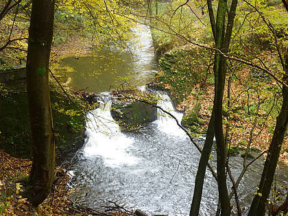 Rntgenlauf 2010