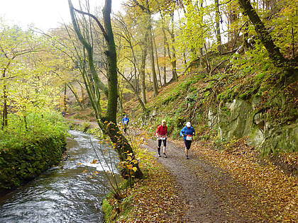 Rntgenlauf 2010