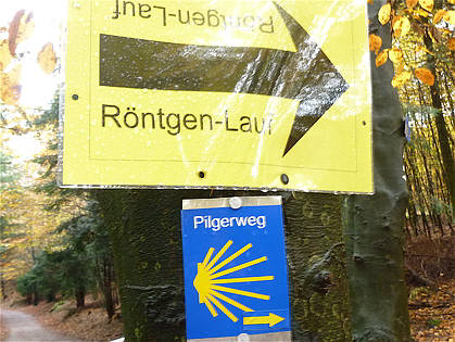 Rntgenlauf 2010