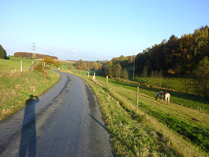 Rntgenlauf 2010