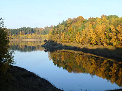 Rntgenlauf 2010