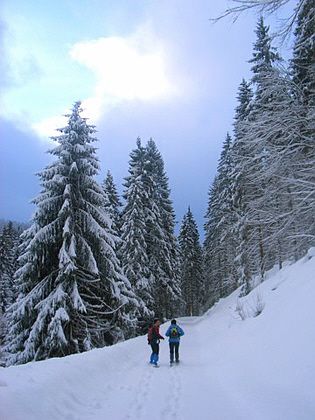 Winterlaufen