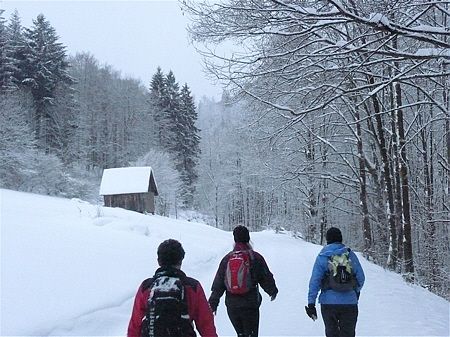 Winterlaufen