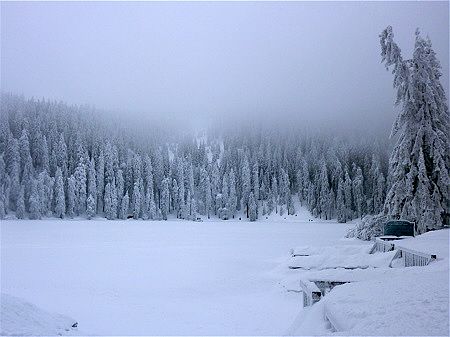 Winterlaufen