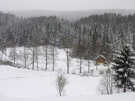 Winterlaufen