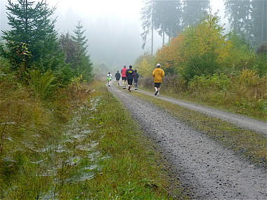 Schwarzwald-Marathon 2010