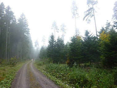 Schwarzwald-Marathon 2010