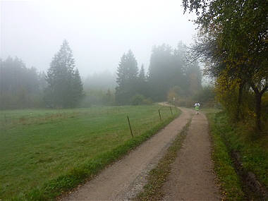 Schwarzwald-Marathon 2010