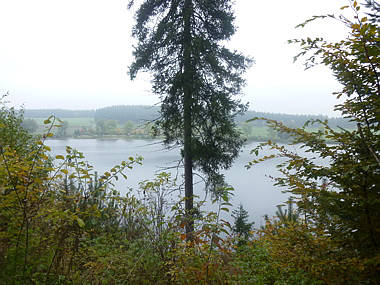 Schwarzwald-Marathon 2010