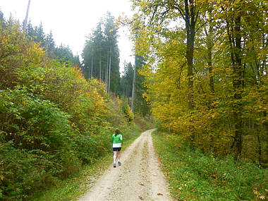 Schwarzwald-Marathon 2010