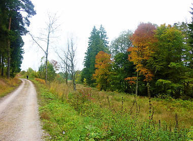 Schwarzwald-Marathon 2010