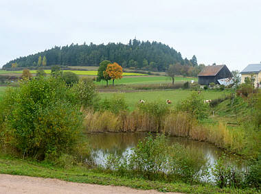 Schwarzwald-Marathon 2010