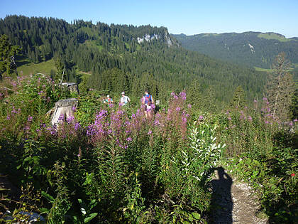 Allgu Panorama Ultramarathon Sonthofen 2010