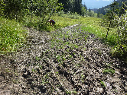 Allgu Panorama Ultramarathon Sonthofen 2010