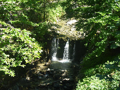 Allgu Panorama Ultramarathon Sonthofen 2010