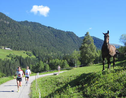 Swiss Alpine Marathon 2010