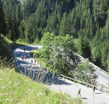 Swiss Alpine Marathon 2010
