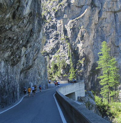 Swiss Alpine Marathon 2010