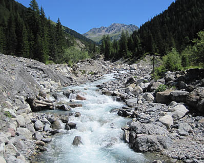 Swiss Alpine Marathon 2010