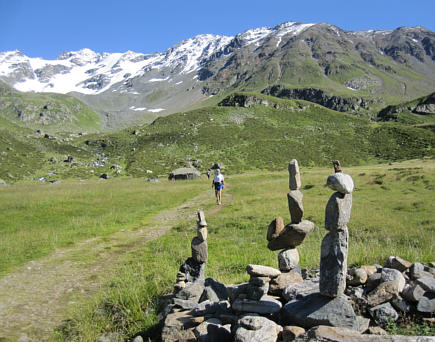 Swiss Alpine Marathon 2010