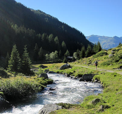 Swiss Alpine Marathon 2010