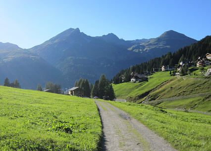 Swiss Alpine Marathon 2010