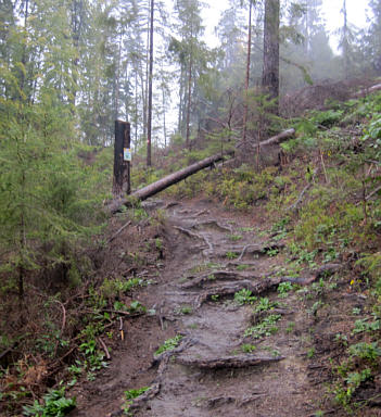 Wörthersee Ultratrail 2010