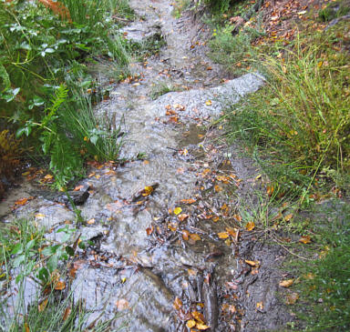 Wörthersee Ultratrail 2010