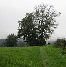 Wrthersee Ultratrail 2010